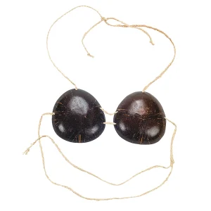 Adult's Coconut Bra<Oriental Trading Shop