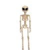 37" Alien Skeleton Decoration<Oriental Trading Sale