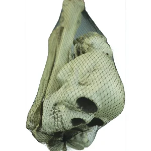 Bag Of Bones<Oriental Trading Sale