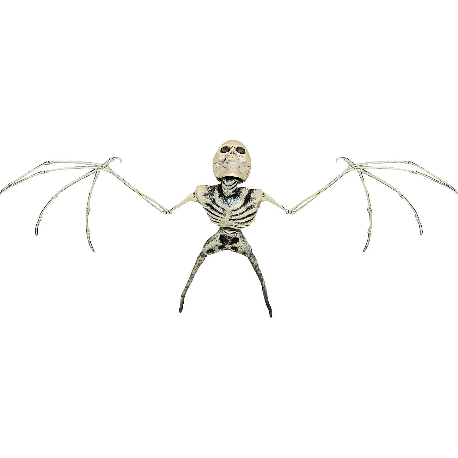 bat_skeleton_0.webp Bat Skeleton<Oriental Trading New