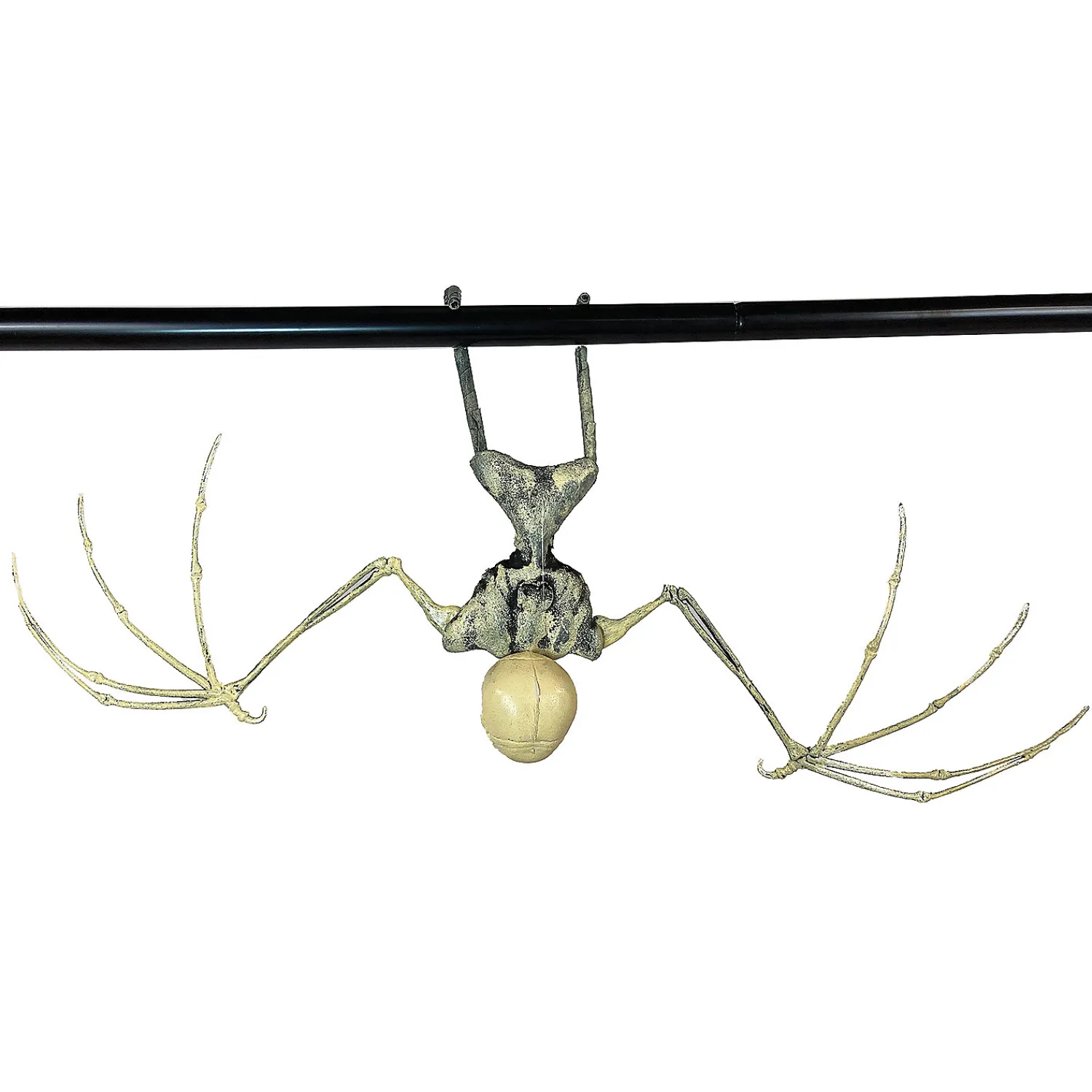 bat_skeleton_1.webp Bat Skeleton<Oriental Trading New