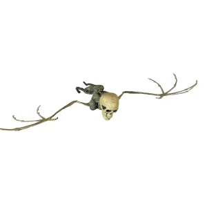 Bat Skeleton<Oriental Trading New
