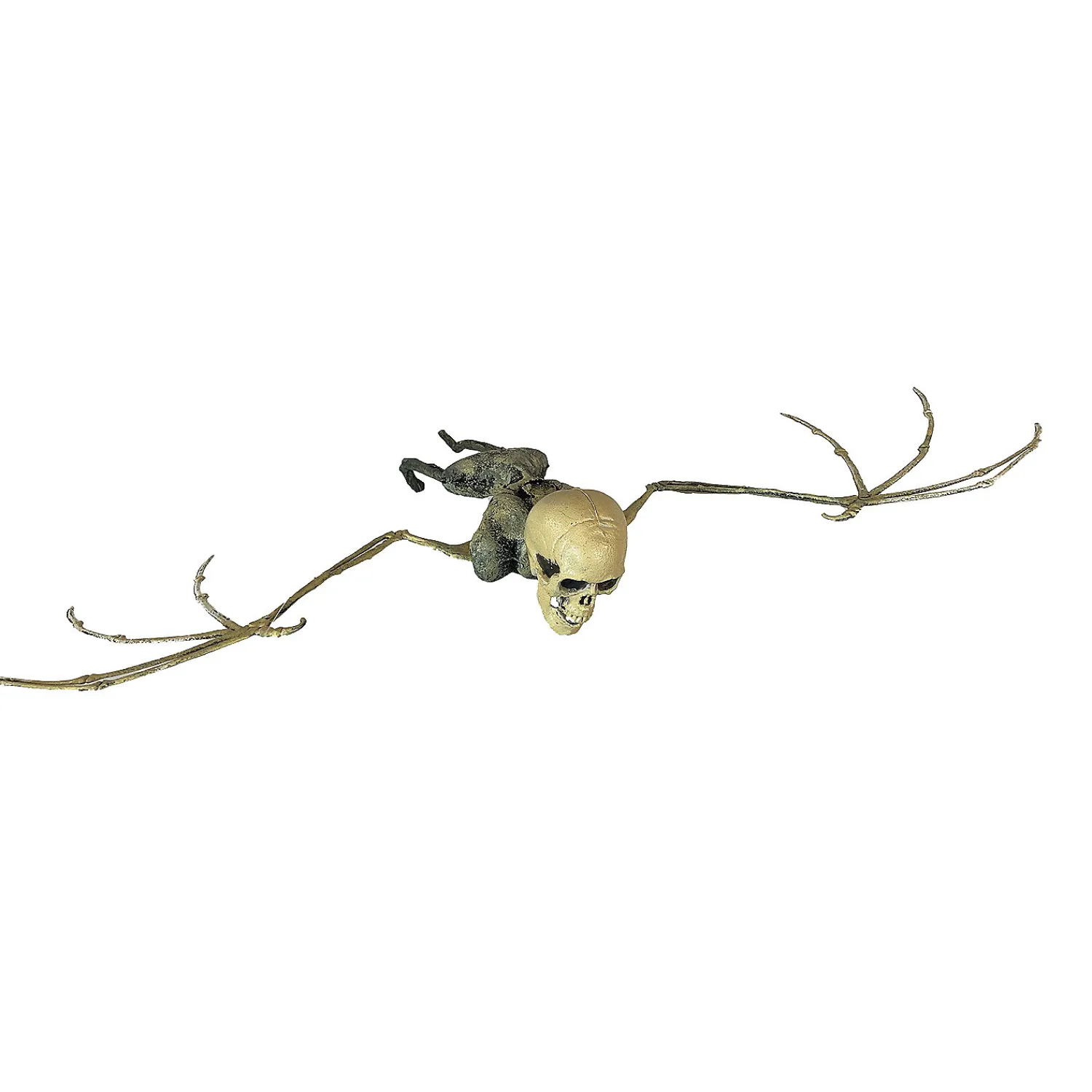 bat_skeleton_2.webp Bat Skeleton<Oriental Trading New