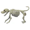Beagle Bonez Dog Skeleton Halloween Decoration<Oriental Trading Fashion