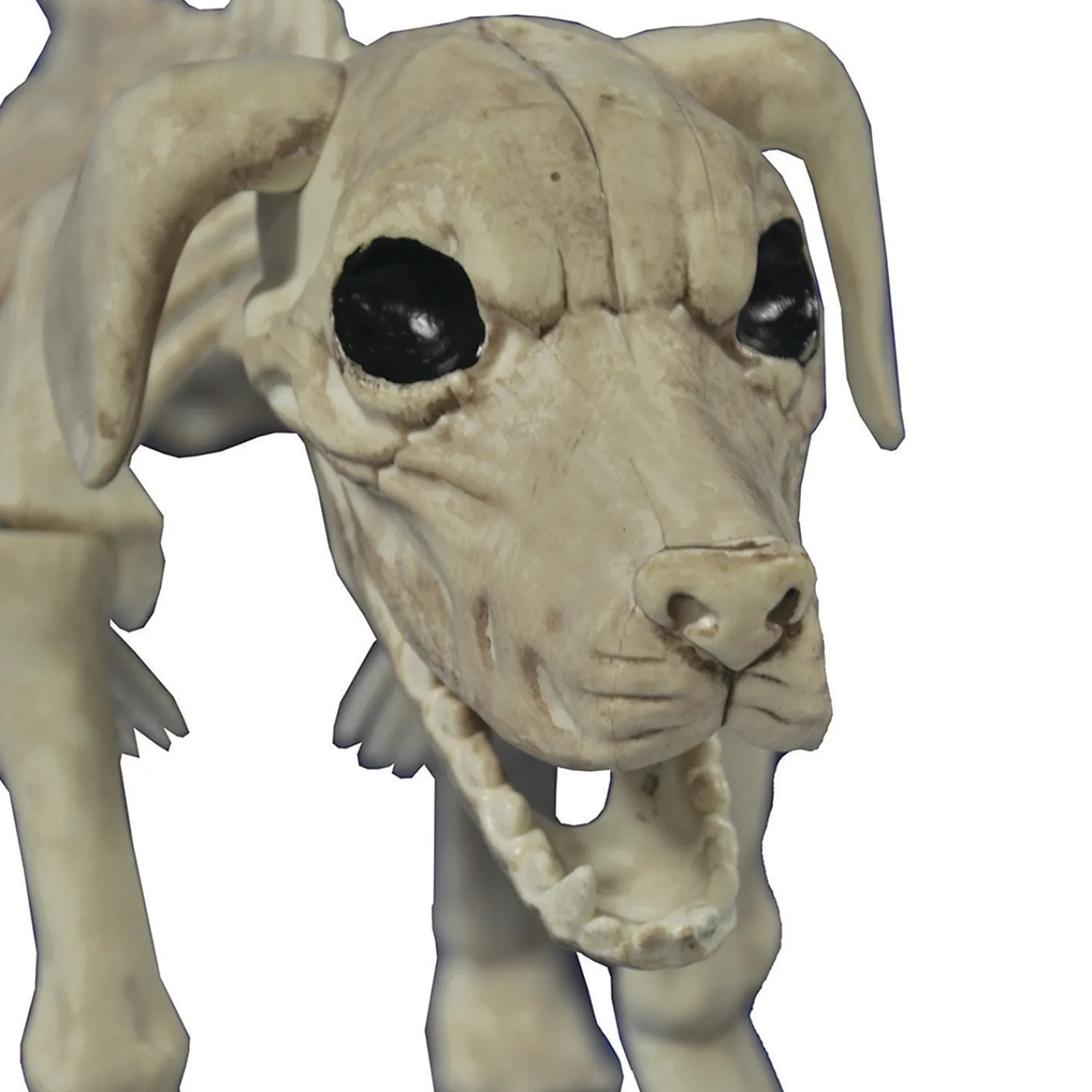 beagle_bonez_dog_skeleton_1.webp Beagle Bonez Dog Skeleton Halloween Decoration<Oriental Trading Fashion