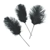 Black Ostrich Feathers - 24 Pc.<Oriental Trading Online