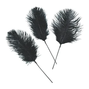 Black Ostrich Feathers - 24 Pc.<Oriental Trading Online