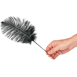Black Ostrich Feathers - 24 Pc.<Oriental Trading Online