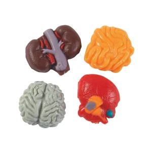Body Parts Gummy Candy - 38 Pc.<Oriental Trading Cheap