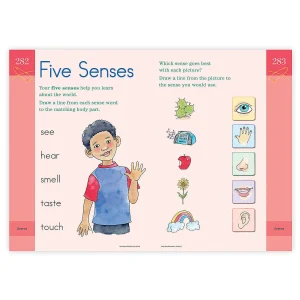 Oriental Trading Puzzles*Brain Quest Workbook: Kindergarten