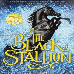 Oriental Trading Character Toys*Breyer The Black Stallion Model Horse And Book Set