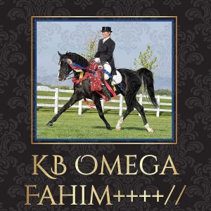 Oriental Trading Character Toys*Breyer Traditional 1:9 Scale Model Horse Kb Omega Fahim