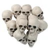 Bulk Bag Of Skulls - 36 Pc.<Oriental Trading Outlet