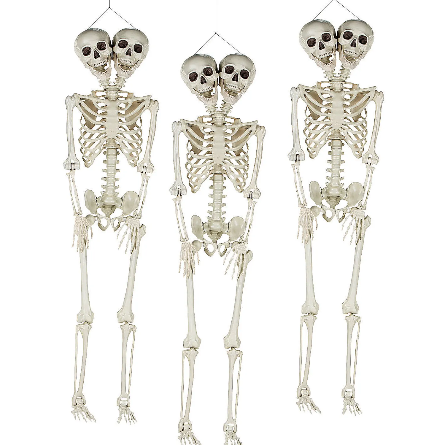 bulk_twoheaded_lifesize_p_0.webp Bulk Two-Headed Life-Size Posable Skeleton Halloween Decorations - 3 Pc.<Oriental Trading Best