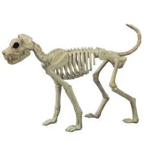 Buster Bonez Dog Skeleton Halloween Decoration<Oriental Trading Cheap