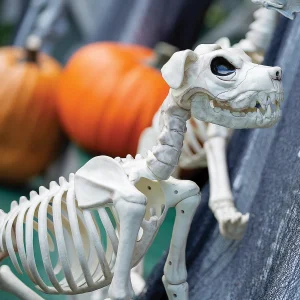 Buster Bonez Dog Skeleton Halloween Decoration<Oriental Trading Cheap