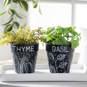 Ceramic Chalkboard Flower Pots - 12 Pc.<Oriental Trading Shop