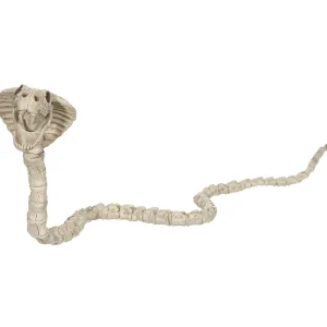 Cobra Skeleton Halloween Decoration<Oriental Trading Hot