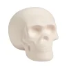 Diy Ceramic Skull<Oriental Trading Discount