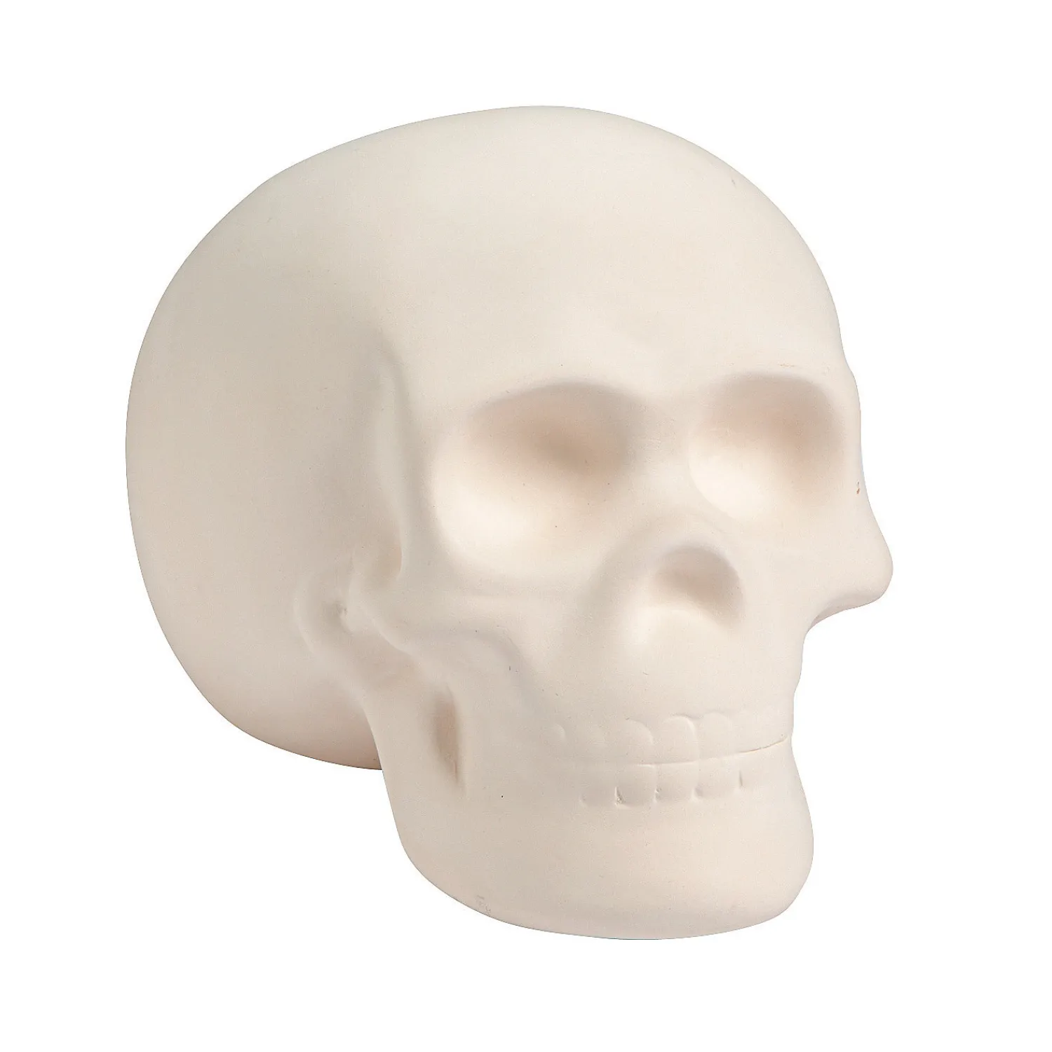 diy_ceramic_skull_0.webp Diy Ceramic Skull<Oriental Trading Discount