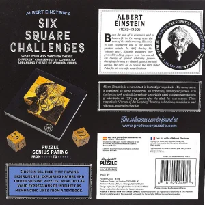 Oriental Trading Puzzles*Einsteins Six Square Challenges 3D Brain Teaser Puzzle