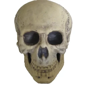 9.5" Foam Skull Decoration<Oriental Trading Hot