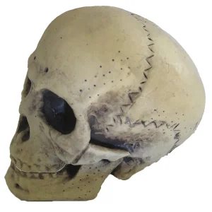9.5" Foam Skull Decoration<Oriental Trading Hot