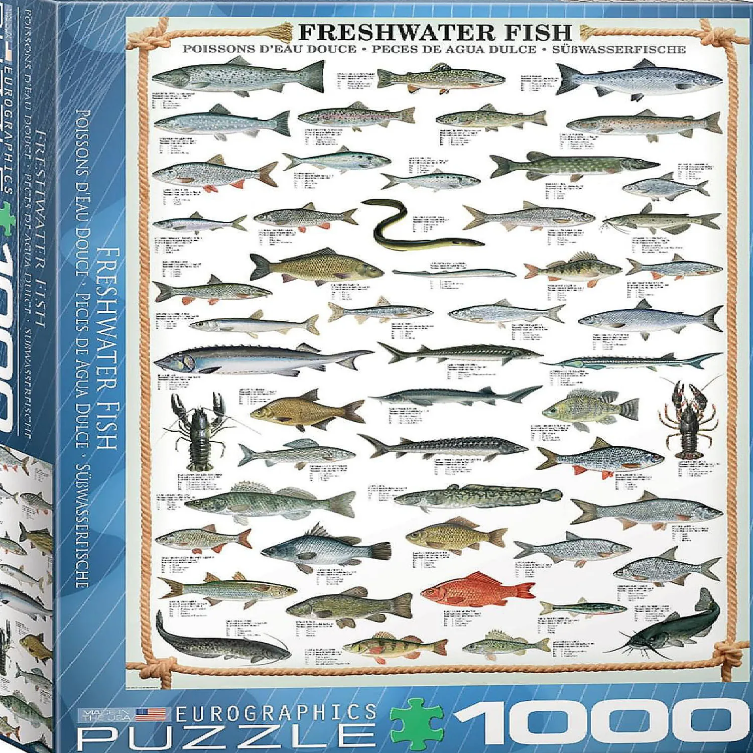 freshwater_fish__piece_ji_0.webp Oriental Trading Puzzles*Freshwater Fish 1000 Piece Jigsaw Puzzle