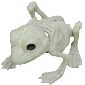 Frog Skeleton Decoration<Oriental Trading Shop