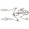 Frog Skeleton Halloween Decoration<Oriental Trading Fashion