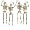 5 Ft. Life Size Posable Skeleton Halloween Decoration - 4 Pc.<Oriental Trading Clearance