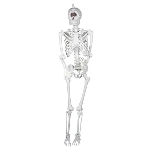 5 Ft. Life-Size Cyclops Skeleton Halloween Decoration<Oriental Trading Cheap