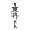 5 Ft. Life-Size Posable Black Skeleton Halloween Decoration<Oriental Trading Cheap