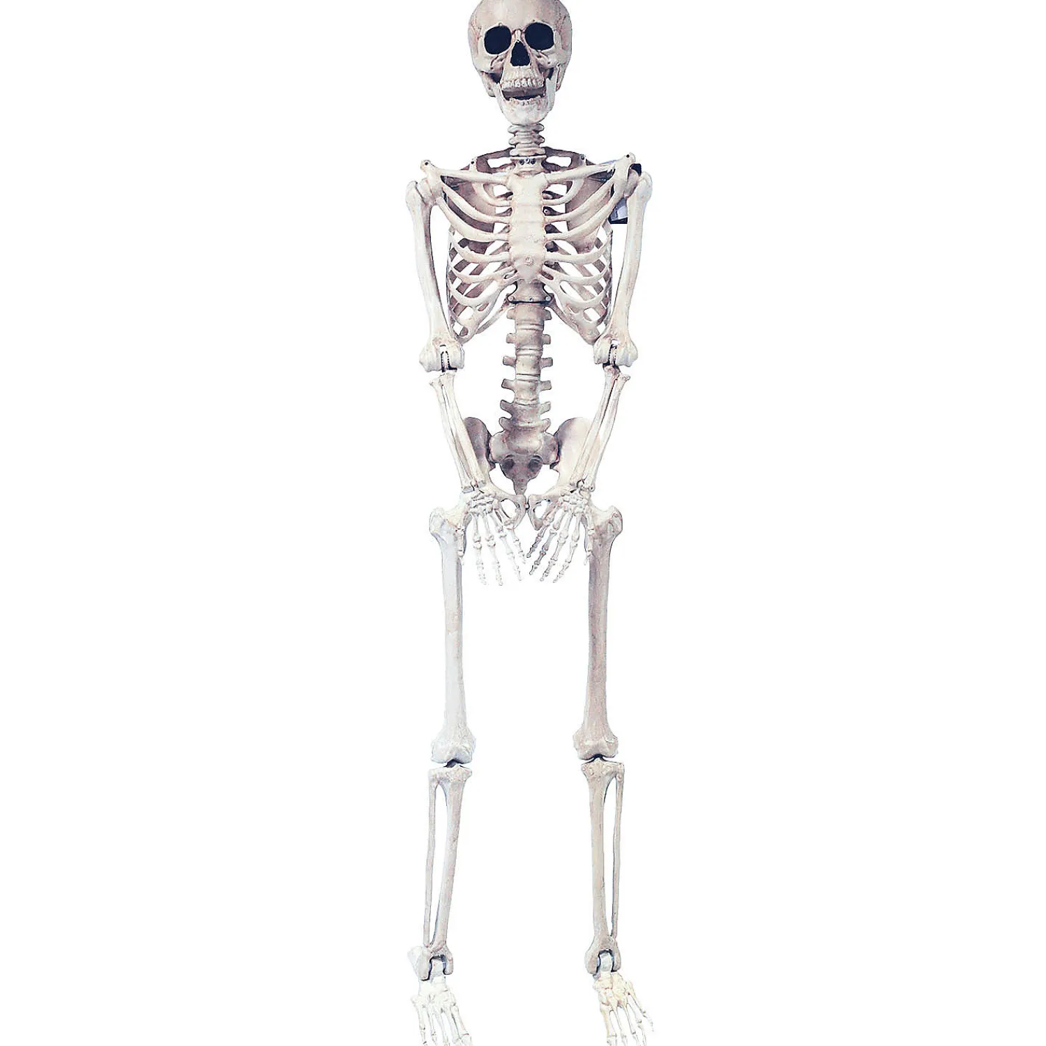 ft_skeleton_pose__hold_h_0.webp 5 Ft. Skeleton Pose & Hold Halloween Decoration<Oriental Trading Online