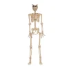 5 Ft. Werewolf Skeleton Halloween Decoration<Oriental Trading Cheap