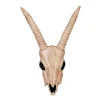 Gazelle Skeleton Skull Halloween Decoration<Oriental Trading Fashion