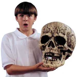 13 1/2" Giant Skull Halloween Decoration<Oriental Trading Shop