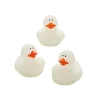 Oriental Trading Rubber Duckies*Glow-In-The-Dark Rubber Ducks - 12 Pc.