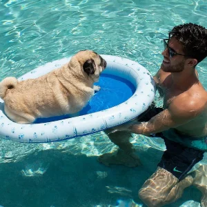 Inflatable Pet Float Medium Size Up To 35 Lbs.<Oriental Trading Cheap