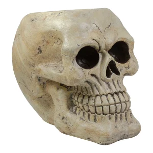 11" Ivory And Black Halloween Skull Tabletop Decoration<Oriental Trading Hot