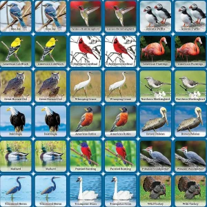 Oriental Trading Playing Cards*Masterpieces Officially Licensed Audubon Picture Matching Card Game For Kids And Families