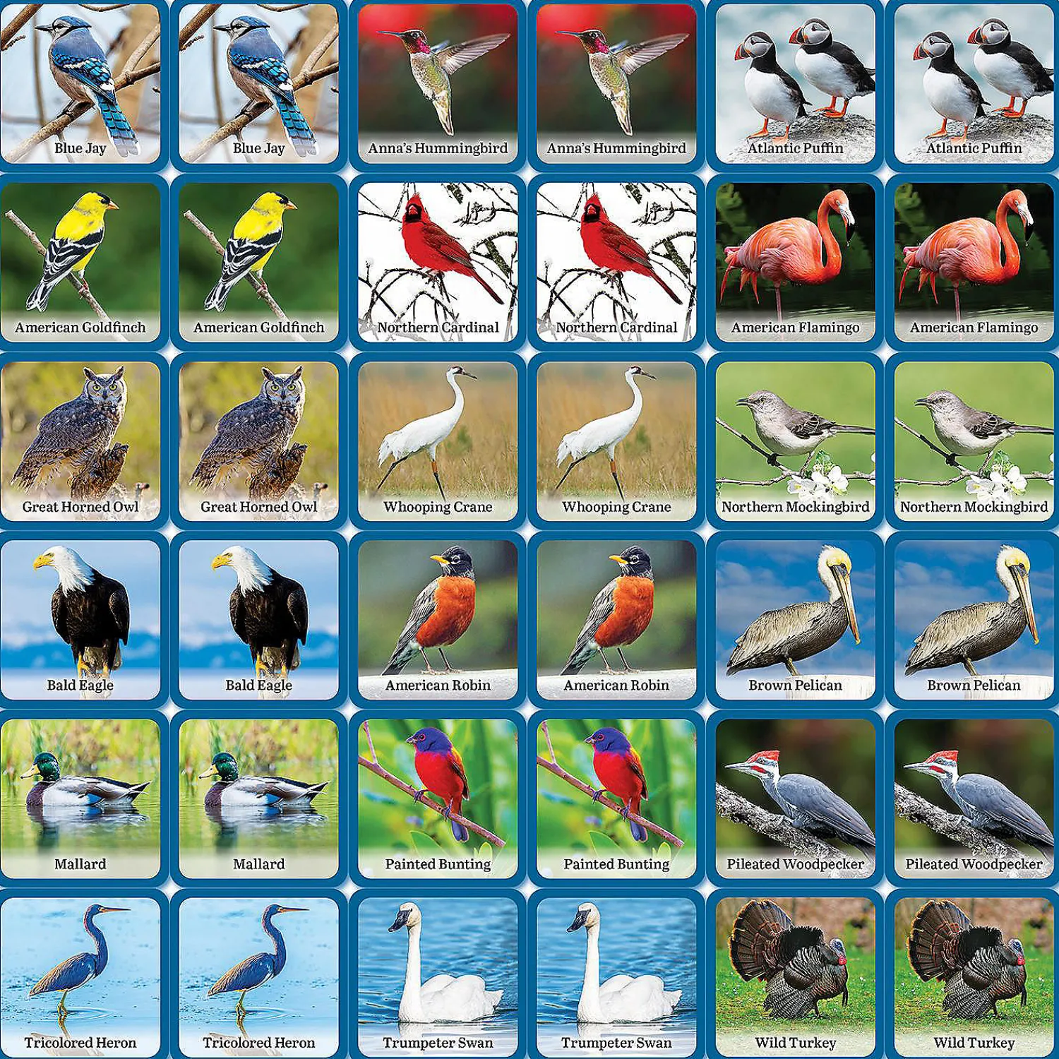 masterpieces_officially_l_2.webp Oriental Trading Playing Cards*Masterpieces Officially Licensed Audubon Picture Matching Card Game For Kids And Families