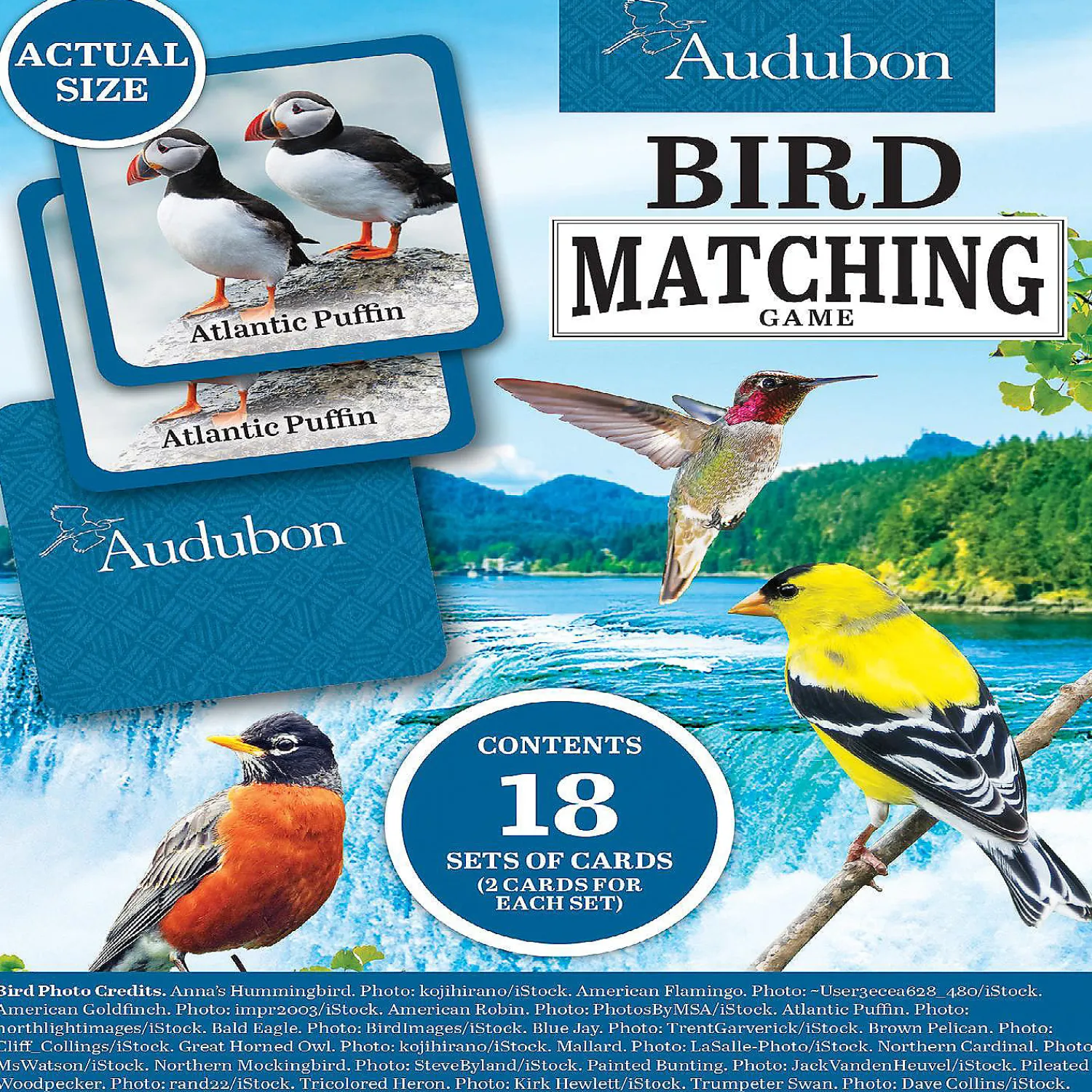 masterpieces_officially_l_3.webp Oriental Trading Playing Cards*Masterpieces Officially Licensed Audubon Picture Matching Card Game For Kids And Families