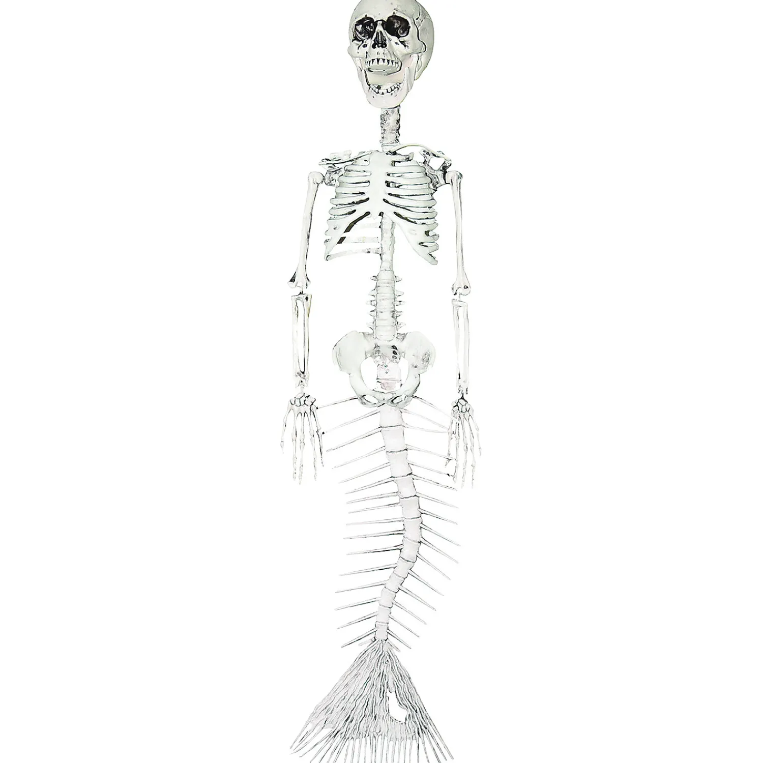 mermaid_skeleton_decorat_0.webp 30" Mermaid Skeleton Decoration<Oriental Trading Best