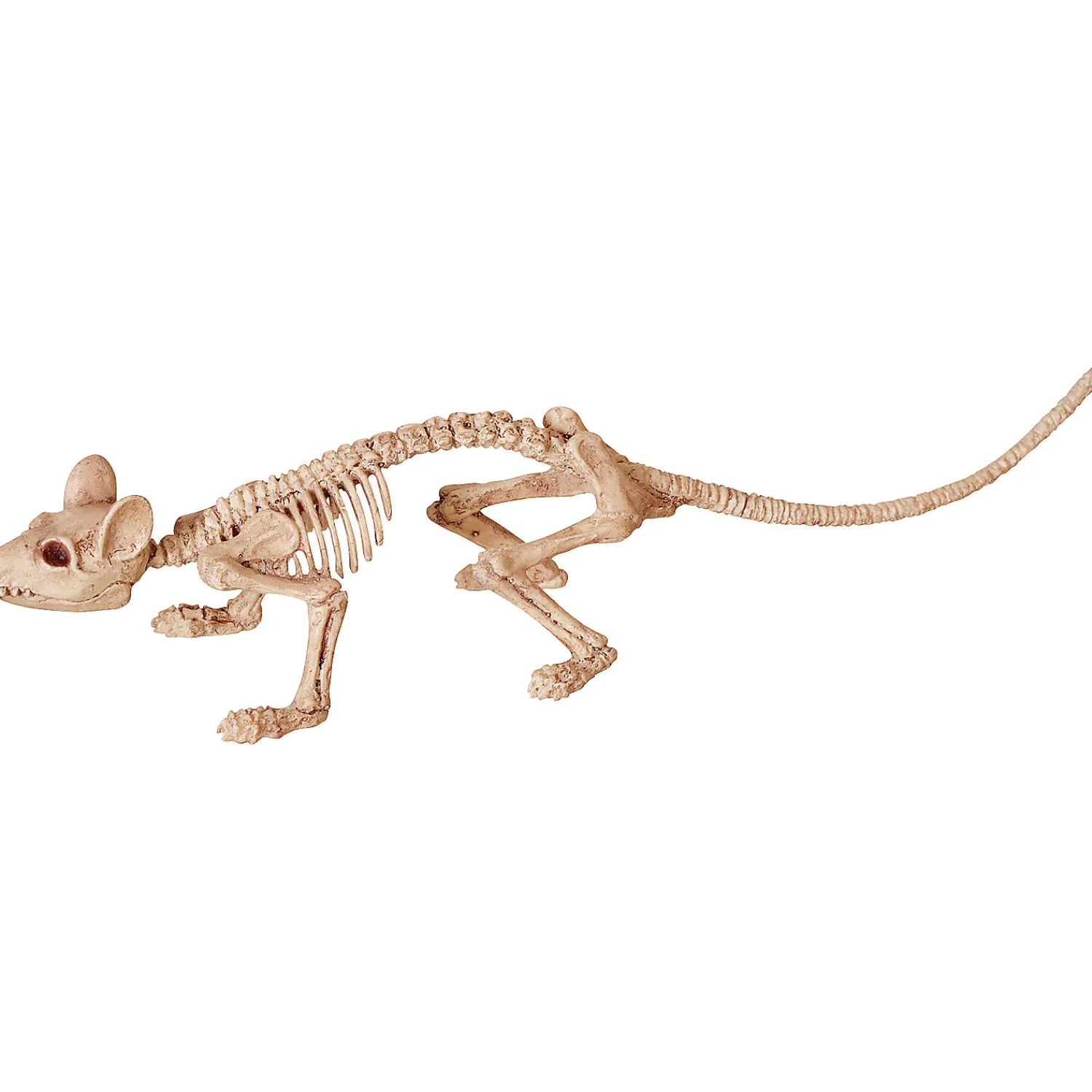mini_skeleton_rat_prop_0.webp Mini Skeleton Rat Prop<Oriental Trading New
