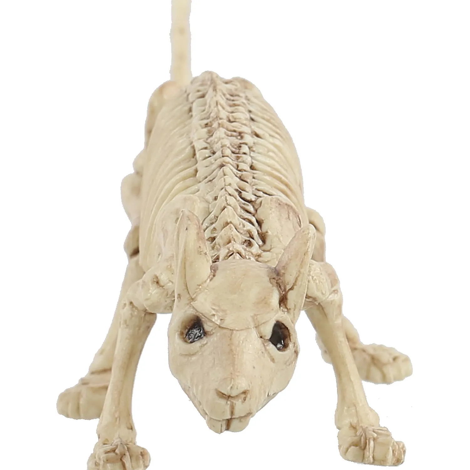 mini_skeleton_rat_prop_2.webp Mini Skeleton Rat Prop<Oriental Trading New