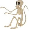Monkey Skeleton<Oriental Trading Best