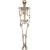 Northlight 5' Life Size Skeleton Halloween Decoration<Oriental Trading Clearance