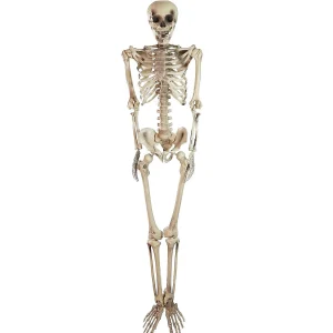 Northlight 5' Life Size Skeleton Halloween Decoration<Oriental Trading Clearance