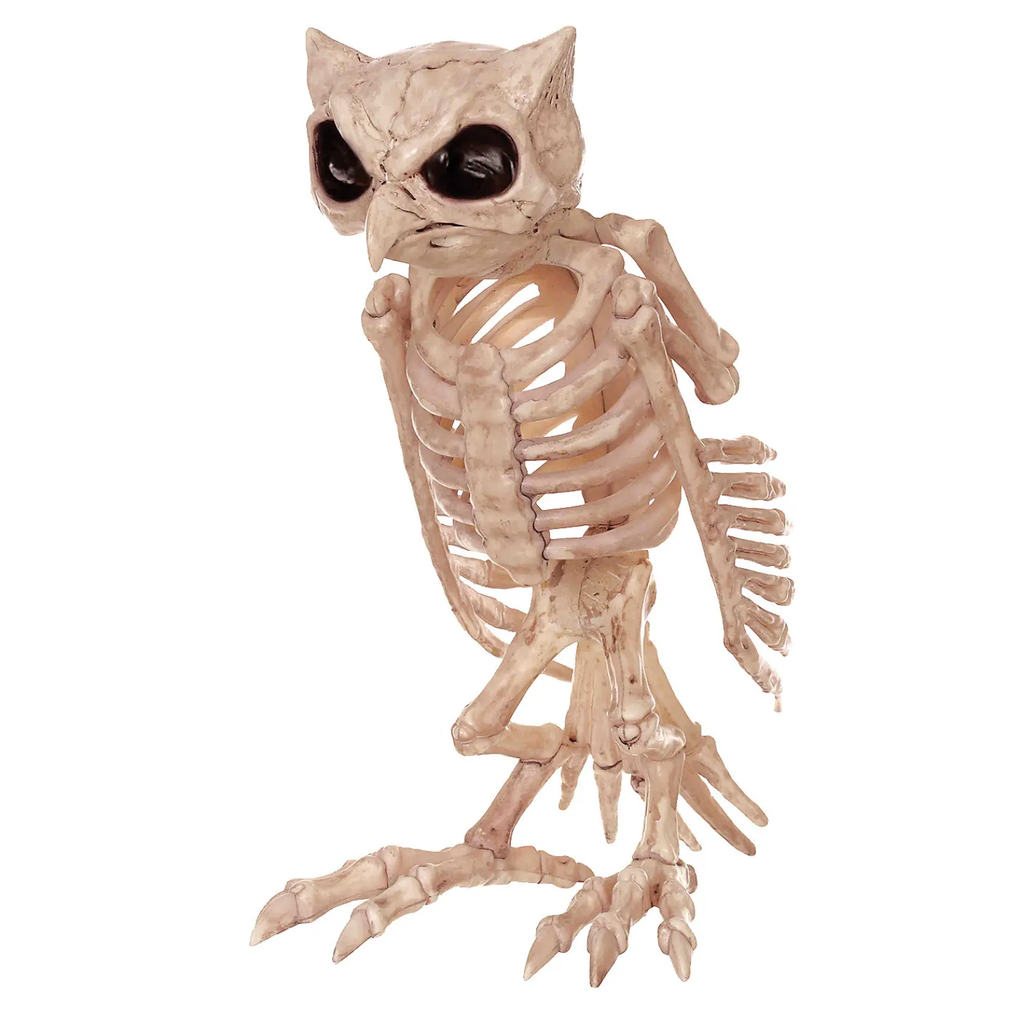 owl_skeleton_decoration_0.webp 13.5" Owl Skeleton Decoration<Oriental Trading Hot